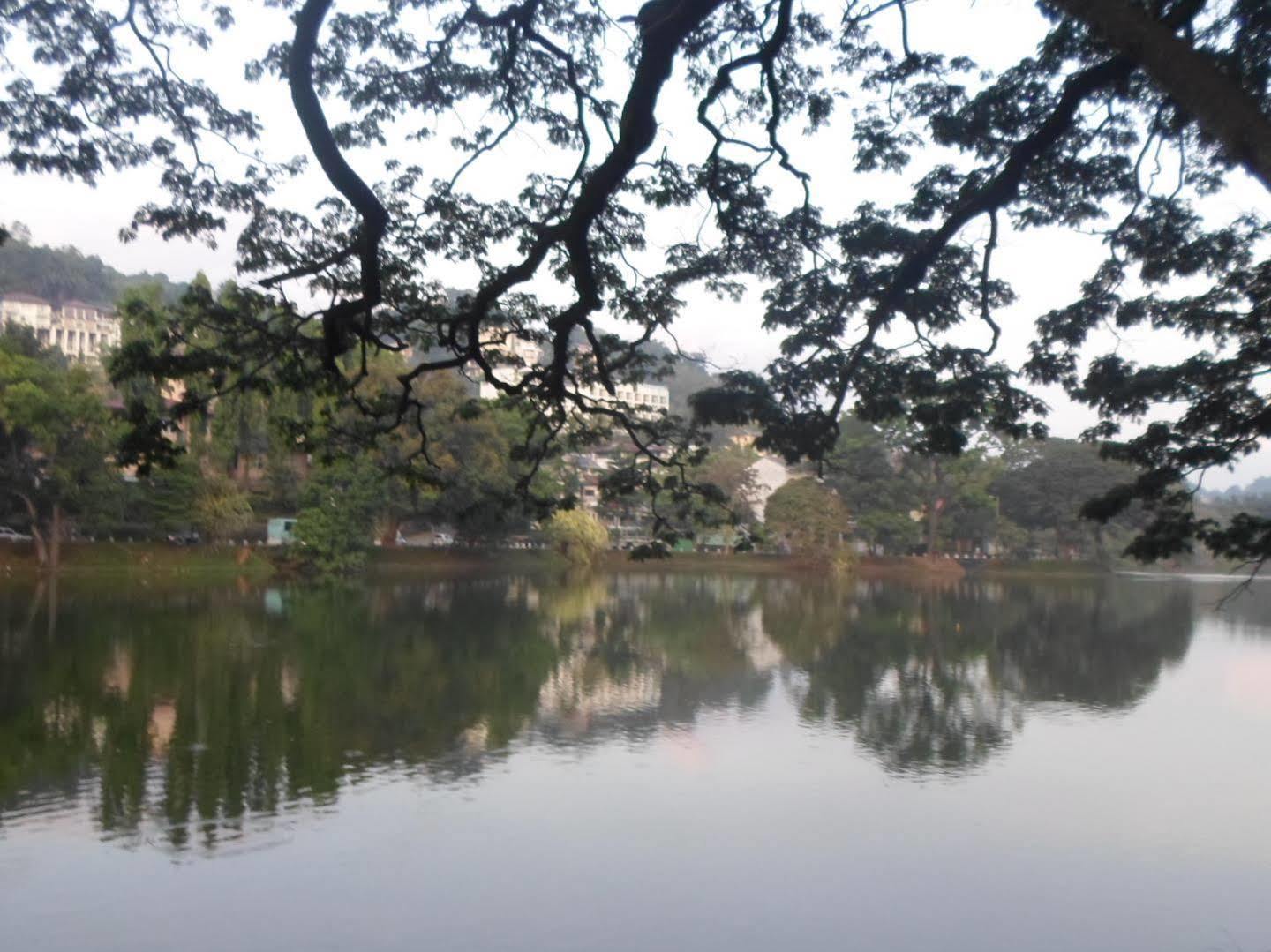 Kandy Green View Bungalow المظهر الخارجي الصورة